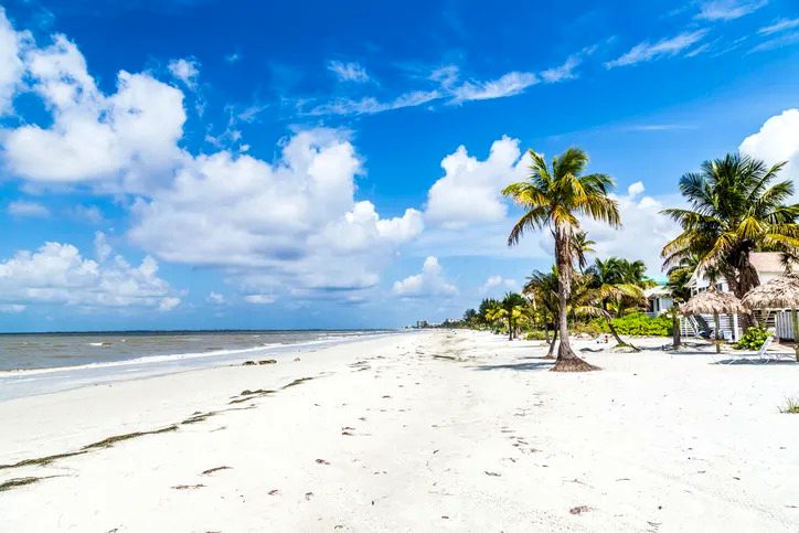 Clearwater beach with palm trees and white sand